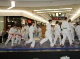 A Judo Szakosztály Műhelytámogatásban rézesült.